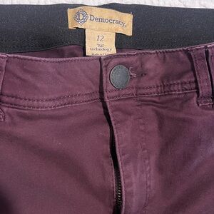 Democracy Skinny Pants in Plum
